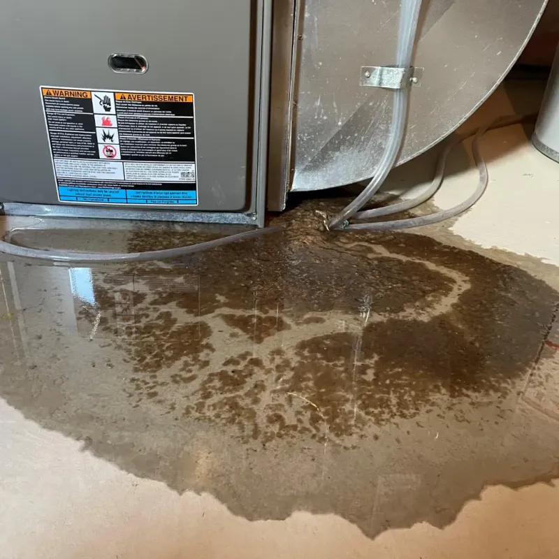 Appliance Leak Cleanup in Avery County, NC