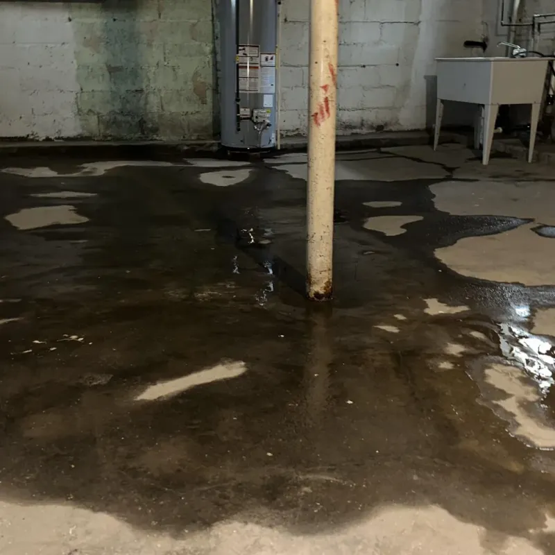 Emergency Water Extraction And Removal in Avery County, NC